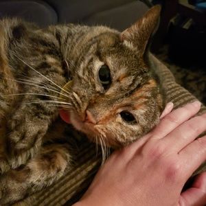 Meet your Posher, Tamara